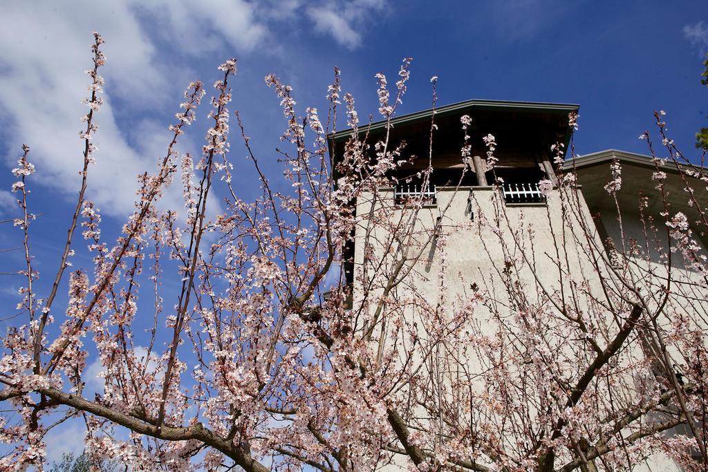 Torretta D'Assisi Bed & Breakfast Tordandrea ภายนอก รูปภาพ