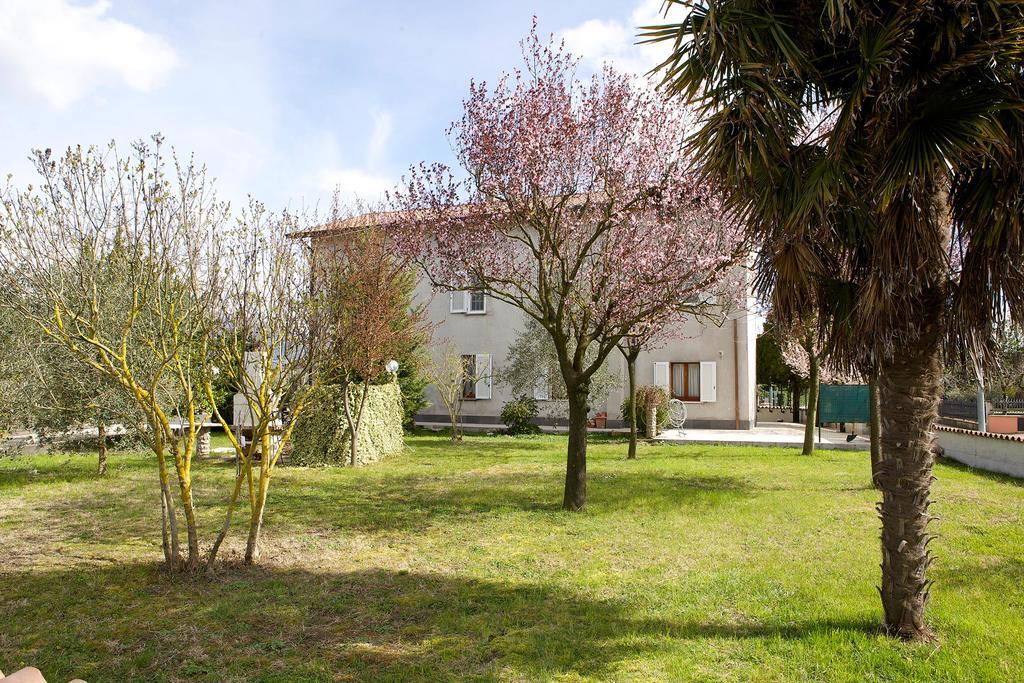 Torretta D'Assisi Bed & Breakfast Tordandrea ภายนอก รูปภาพ